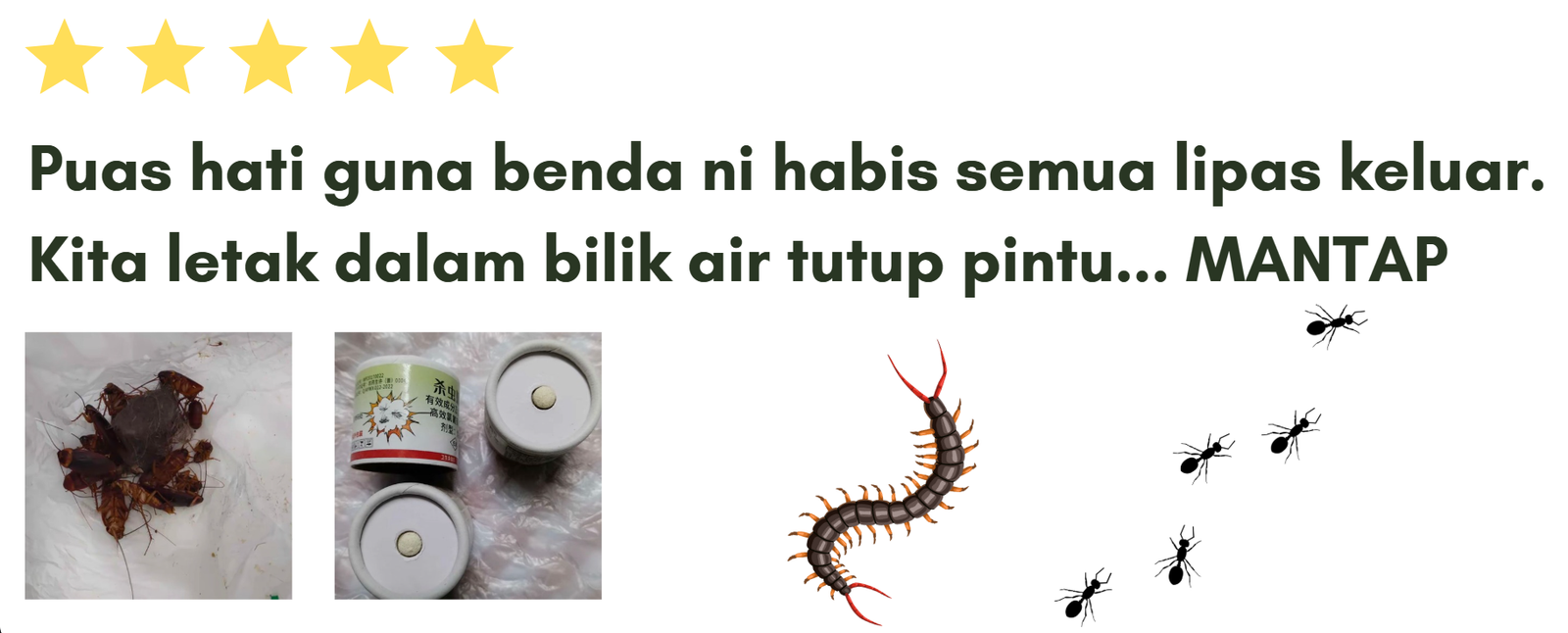 Review 2