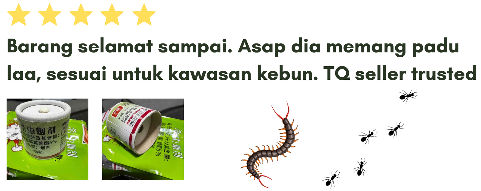 Review 1